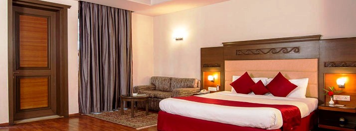 2215/Vikram Vintage Inn - Nainital 14.jpg